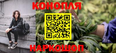 прущие грибы Донской