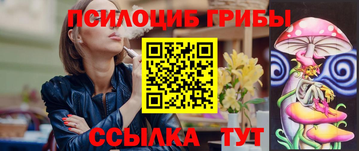 Галлюциногенные грибы Psilocybine cubensis  Вход с VPN  Клинцы 