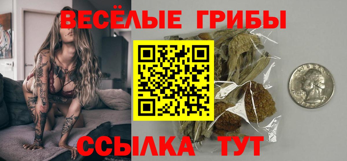 Галлюциногенные грибы мицелий Клинцы